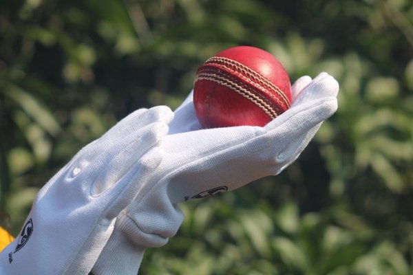 how to read a cricket scorecard