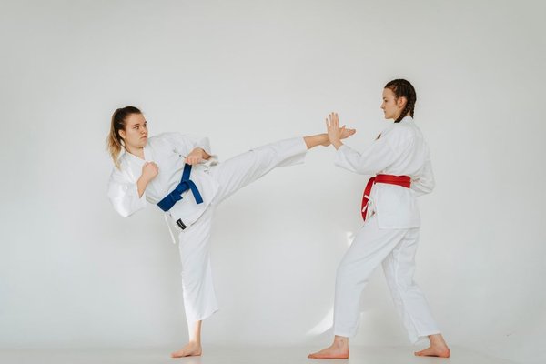 karate vs taekwondo